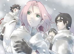  akamaru akamaru_(naruto) inuzuka_kiba naruto naruto_shippuuden pixiv_thumbnail r_suke rakusuke resized rock_lee sai sakura_haruno snow 