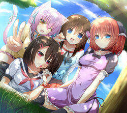  4girls :q ;d animal_ears black_hair black_legwear blue_eyes blush borrowed_character brown_hair candy cat_ears chiriko_(atlanta) collar collarbone commentary_request dappled_sunlight day dutch_angle food grass hair_bobbles hair_ornament hairclip licking_lips light_rays lollipop long_hair looking_at_viewer morinaga_koeda multiple_girls nature one_eye_closed open_mouth original outdoors pink_hair red_eyes red_hair school_uniform shade shia_flatpaddy shirt short_hair side_ponytail sitting smile split_mouth sunbeam sunlight syroh tail takamine_kokone taut_clothes taut_shirt thighhighs tongue tongue_out tree tree_shade under_tree v wariza watch 