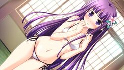  bare_shoulders bikini blush dutch_angle female flower game_cg groin hair_flower hair_ornament highres indoors iro_ni_ide_ni_keri_waga_koi_wa ko~cha long_hair navel parted_lips purple_eyes purple_hair shiny_skin side-tie_bikini_bottom solo swimsuit tatami tenjou_kikyou thigh_gap very_long_hair white_bikini 