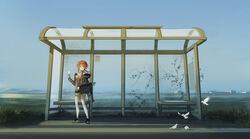  bag bird black_eyes breasts bus_stop city commentary danzir female grass handbag highres holding horizon lake large_breasts looking_away medium_hair original outdoors red_hair scenery shoes shorts sidewalk sky socks solo standing thighs white_socks wide_shot 