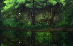  day forest landscape leaf nature no_humans original outdoors qls-san_(hawatari_30) reflection scenery swamp tree 