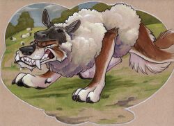  angry canid canine canis chibi-marrow feral male mammal outside pasture solo trick wolf 