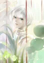  aqua_eyes bad_id bad_pixiv_id bob_cut clover_(manga) colored_eyelashes expressionless female green_eyes highres nie1121 short_hair signature solo sunlight suu_(clover) upper_body white_theme 