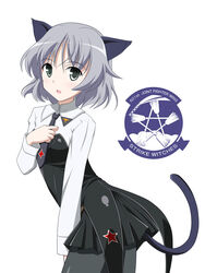  501st_joint_fighter_wing_(emblem) animal_ears black_pantyhose cat_ears cat_girl cat_tail female green_eyes grey_hair hyokkori_tamago necktie pantyhose sanya_v._litvyak solo strike_witches tail world_witches_series 