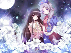  2girls black_hair blue_eyes braid brown_eyes commentary_request constellation constellation_print flower grey_hair hand_on_own_hip hat houraisan_kaguya interlocked_fingers long_hair moon multiple_girls non_(nobu) nurse_cap oenothera_(flower) own_hands_clasped own_hands_together single_braid touhou very_long_hair white_flower yagokoro_eirin 