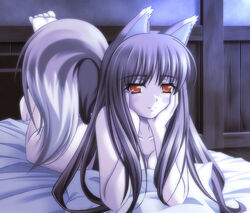  animal_ears bad_id bad_pixiv_id barefoot bed blush brown_hair completely_nude female holo long_hair lying nude photoshop_(medium) red_eyes shiumai solo spice_and_wolf tail wolf_ears wolf_girl wolf_tail 