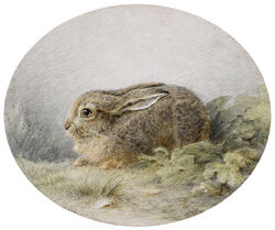  absurd_res ambiguous_gender ancient_art brown_body brown_eyes brown_fur european_hare feral fur grass hare hi_res lagomorph leporid long_ears ludwig_beckmann mammal nude outside painting_(artwork) plant public_domain realistic side_view signature simple_background solo traditional_media_(artwork) watercolor_(artwork) whiskers 