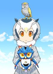  animal_ears character_request clash_of_the_titans closed_mouth cloud coat commentary_request crossover female fur_collar head_wings kemono_friends looking_at_viewer mirai_sentai_timeranger multicolored_hair northern_white-faced_owl_(kemono_friends) short_hair species_connection standing super_sentai ueyama_michirou white_hair wings 