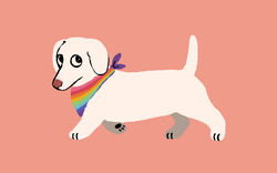  1978_rainbow_pride_colors accessory ambiguous_gender bandana black_pawpads canid canine canis dachshund domestic_dog female_(lore) feral fruitblush fur hi_res homophobic_dog hunting_dog kerchief lgbt_pride looking_back mammal mouthless multicolored_bandanna multicolored_kerchief multicolored_neckerchief multicolored_neckwear neckerchief neckwear orange_background pawpads pride_color_accessory pride_color_bandanna pride_color_kerchief pride_color_neckerchief pride_color_neckwear pride_colors rainbow_pride_colors real_world redraw simple_background solo walking white_body white_fur whitney_chewston 