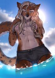  absurd_res anthro areola biped blonde_hair braided_hair brown_body brown_eyes brown_fur canid canine cheek_tuft clothed clothing cloud countershade_face countershade_fur countershade_torso countershading digital_media_(artwork) ear_piercing facial_tuft fur hair hi_res long_hair male mammal navel nipples novery outside partially_submerged piercing pink_areola pink_nipples shaded sky solo sun swimming_trunks swimwear tail topless tuft water wet wet_body wet_clothing wet_fur white_body white_fur 