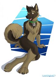  2018 4_toes 5_fingers anthro ass barefoot biped black_claws black_nails black_nose blue_background bondage brown_body brown_fur brown_hair canid canine canis cheek_tuft chest_tuft claws collar collar_only collar_tag colored_nails domestic_dog eyebrows eyelashes facial_tuft feet fingers fluffy fluffy_tail full-length_portrait fur german_shepherd gloves_(marking) hair half-closed_eyes herding_dog hi_res inner_ear_fluff kutekittykatt leg_markings looking_aside looking_at_viewer male mammal markings multicolored_body multicolored_fur multicolored_tail nails narrowed_eyes nude open_mouth open_smile pastoral_dog paws petplay pink_tongue pinup portrait pose roleplay shadow short_hair signature simple_background sitting smile socks_(marking) solo stomak tail teeth toes tongue tuft white_background yellow_eyes 