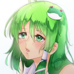  bad_id bad_pixiv_id blush commentary_request female frog_hair_ornament green_eyes green_hair hair_ornament hair_tubes kochiya_sanae long_hair open_mouth pandora-ex portrait single_hair_tube single_sidelock snake_hair solo touhou white_background 