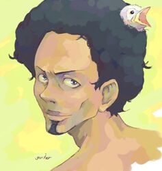  1boy afro animal animal_on_head bird bird_on_head dark-skinned_male dark_skin eureka_seven eureka_seven_(series) final_fantasy final_fantasy_xiii grey_eyes guitar_(guitars) lowres male_focus matthieu on_head parody portrait solo 