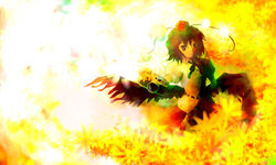  absurdres autumn brown_hair camera commentary_request female fu_kka highres looking_at_viewer shameimaru_aya solo touhou yellow_theme 