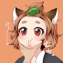  animal_ears brown_hair cheek_squash commentary_request extra female genshi_shin&#039;ichi leaf leaf_on_head o3o raccoon_ears red_eyes short_hair tanuki_mob_(touhou) topknot topknot_tanuki touhou wild_and_horned_hermit 