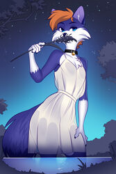  2022 affax amberpendant anthro bell bell_collar biped black_collar blue_body blue_eyes blue_fur canid canine cheek_tuft chest_tuft clothed clothing collar countershade_fur countershade_legs countershade_thighs countershade_torso countershading crossdressing digital_media_(artwork) dress facial_tuft fur hair hand_on_leg hand_on_own_leg hand_on_own_thigh hand_on_thigh hi_res holding_plant male mammal night orange_hair outside plant shaded sky solo star starry_sky tail tree tuft white_body white_clothing white_dress white_fur 