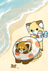  2024 ailurid arthropod beach biped black_eyes black_nose brown_body canid canine chibi crab crustacean decapoda detailed_background dot_eyes duo feral fox group hi_res kemono malacostracan mammal marine red_panda shi_nominmin sitting water 