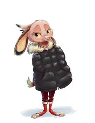  2017 anthro clothed clothing coat fully_clothed fur hand_in_pocket hands_in_both_pockets hi_res lagomorph leporid mammal pockets rabbit ribbontail_(character) simple_background solo standing toeless_legwear topwear vulpesvant white_background 