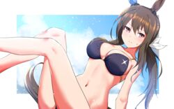  admire_vega_(umamusume) alternate_costume animal_ears bikini black_bikini blue_sky blush border bow breasts brown_hair cleavage closed_mouth cloud cloudy_sky commentary ear_covers female hair_between_eyes highres horse_ears horse_girl horse_tail large_breasts long_hair looking_at_viewer navel ponytail purple_eyes single_ear_cover sky solo sousakubito swimsuit tail umamusume white_border white_bow 