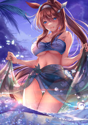  :d animal_ears ass_visible_through_thighs bikini blue_bikini blue_eyes blush breasts brown_hair collarbone evening female floral_print highres horse_ears horse_girl horse_tail long_hair medium_breasts mihono_bourbon_(umamusume) navel open_mouth outdoors palm_tree partially_submerged partially_underwater_shot ponytail rairaisuruyo sarong see-through sidelocks sky smile solo stomach sunset swimsuit tail tree umamusume underboob very_long_hair water_drop wet 