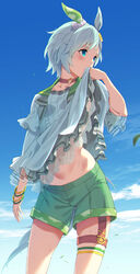  animal_ears blue_eyes blue_hair blue_shirt blue_sky blush bracelet bridal_garter choker clothes_lift cloud commentary_request day female green_shorts highres horse_ears horse_girl horse_tail jewelry lifting_own_clothes looking_to_the_side navel outdoors red_choker revision seiun_sky_(umamusume) shirt shirt_lift short_hair shorts sky solo standing stomach sugarbeat tail thighs umamusume 