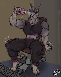  absurd_res andromorph anthro biceps canid canine canis claws clothed clothing domestic_dog exercise feet fur gym hair hi_res intersex looking_at_viewer male mammal mrwhitebear muscular muscular_anthro muscular_male paws schnauzer simple_background smile solo text toe_claws toes water water_spray watermark workout workout_clothing workout_equipment 