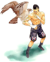  1boy abs bird black_shorts boots commentary_request hajime_no_ippo hawk highres male_focus muscular shinobibe_himika shorts solo takamura_mamoru 