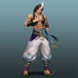  1001_arabian_nights 1boy aladdin aladdin_(character) arabian_nights feathers feathers shin_sangoku_musou sima_zhao 