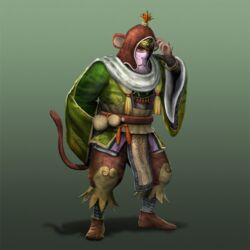  animal_ears monkey pang_tong shin_sangoku_musou tail 