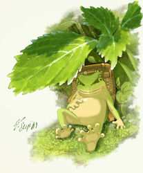  artist_name backpack_basket basket frog grass hachiya_shohei highres leaf looking_at_viewer no_humans original outdoors plant sitting white_background 