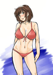  amagami bikini breasts brown_eyes brown_hair cleavage commentary_request female henkuma highres large_breasts red_bikini sakurai_rihoko short_hair sketch solo standing swimsuit 