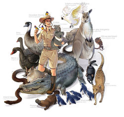  1boy animal australia_(hetalia) axis_powers_hetalia bad_id bandaid bird black_swan_(bird) boots brown_hair cockatoo crocodile crocodilian emu finch frill-necked_lizard gouldian_finch hat inland_taipan kangaroo koala little_penguin lizard male_focus parrot penguin photoshop_(medium) platypus saltwater_crocodile sherry_lai snake solo sulphur-crested_cockatoo swan tasmanian_devil thylacine wallaby_(animal) white_background wombat 