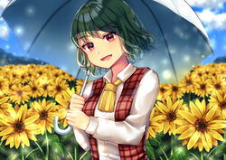  arms_up ascot bad_id bad_pixiv_id blue_sky cloud commentary_request day female field flower flower_field garden_of_the_sun green_hair head_tilt holding holding_umbrella kazami_yuuka leaf light_particles long_sleeves looking_at_viewer maitacoco open_clothes open_mouth open_vest outdoors plaid plaid_vest red_eyes shirt short_hair sky solo standing sunflower sunflower_field touhou umbrella upper_body vest white_shirt yellow_ascot 