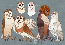  absurd_res armor avian barn_owl battle_claws bird black_eyes brother_(lore) brother_and_sister_(lore) brown_body brown_feathers claws eglantine_(gogh) feathers female feral gradient_body group guardians_of_ga&#039;hoole headgear helmet hi_res kabuki-aku kludd male metal_beak nyra_(gogh) owl sibling_(lore) simple_background sister_(lore) soren_(gogh) toe_claws tyto tytonid white_body white_feathers 