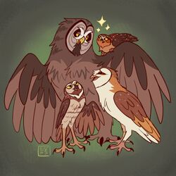  1:1 absurd_res ambiguous_gender athene_(genus) avian barn_owl bird brown_body brown_eyes brown_feathers burrowing_owl digger_(gogh) elf_owl feathers feet female_(lore) feral great_grey_owl green_background group guardians_of_ga&#039;hoole gylfie hi_res kabuki-aku male_(lore) owl simple_background size_difference soren_(gogh) strix_(genus) talons toes true_owl twilight_(gogh) tyto tytonid yellow_eyes 