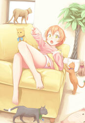  dararito hoshizora_rin love_live! neko tagme 