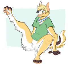  2016 4_toes 5_fingers anthro blonde_hair blue_collar blue_eyes blue_pupils bottomless brown_body brown_fur canid canine canis clothed clothing collar corgwn digital_drawing_(artwork) digital_media_(artwork) domestic_dog featureless_crotch feet fingers fur german_shepherd green_clothing green_shirt green_topwear hair herding_dog hindpaw jayboppity male mammal markings multicolored_body multicolored_fur open_mouth pastoral_dog pawpads paws pupils raised_leg shirt simple_background smile solo teeth toes topwear white_body white_fur yellow_body yellow_fur 