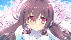  applique bow brown_hair fujimiya_shione game_cg hana_no_no_ni_saku_utakata_no long_hair odawara_hakone red_eyes twintails 