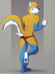  2014 3:4 4_toes 5_fingers anthro ass barefoot biped blue_body blue_fur canid canine claws clothed clothing feet fingers fox foxen_(character) fur lunalei male mammal mostly_nude pawpads simple_background soles solo speedo swimwear tail toe_claws toes underwear 