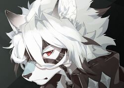  2022 absurd_res anthro ao_gravity black_clothing black_topwear bust_portrait canid canine canis clothing fur hi_res male mammal mihoyo one_eye_obstructed portrait solo topwear von_lycaon white_body white_fur wolf zenless_zone_zero 