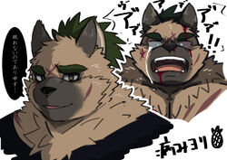  1boy animal_ears bara brown_fur crying crying_with_eyes_open dog_boy dog_ears empty_eyes expressions fangs furry furry_male green_eyes highres injury looking_at_viewer male_focus multiple_views pectorals portrait scar scar_on_cheek scar_on_face short_hair tears tokyo_afterschool_summoners translation_request tt_(ptcmtr) yasuyori_(housamo) 