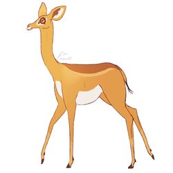  1:1 ambiguous_gender antelope bovid brown_body brown_fur brown_inner_ear_fluff brown_tail eyelashes feral fur gerenuk glistening glistening_eyes hi_res hooves horizontal_pupils imperatorcaesar inner_ear_fluff mammal mouth_closed orange_body orange_ears orange_fur orange_tail pupils quadruped side_view signature simple_background solo tail true_antelope tuft white_background white_body white_fur white_inner_ear 