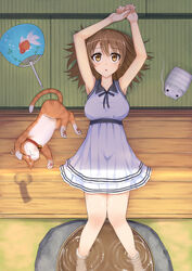  brown_eyes brown_hair commentary_request coupe50 feline female hand_fan kayari_buta original paper_fan soaking_feet solo uchiwa 