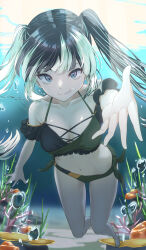  alternate_costume alternate_hairstyle bikini black_bikini black_hair breasts bubble commentary_request coral female fish frilled_bikini frills highres hololive hololive_dev_is juufuutei_raden korutesu log multicolored_eyes multicolored_hair navel reaching reaching_towards_viewer small_breasts smile solo streaked_hair swimsuit twintails underwater virtual_youtuber 