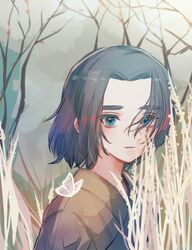  1boy aged_down black_hair blue_eyes grass hair_over_one_eye looking_at_viewer luo_xiaohei_zhanji male_focus medium_hair plant solatky solo tree upper_body wuxian_(the_legend_of_luoxiaohei) 