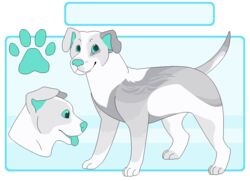  2016 aliasing alpha_channel ambiguous_gender blue_background button_ears canid canine canis digital_drawing_(artwork) digital_media_(artwork) digitigrade domestic_dog feral flat_colors floppy_ears footprint fur green_eyes grey_body grey_fur looking_at_viewer mammal microsoft_paint_(artwork) model_sheet open_mouth pawprint paws pit_bull raised_tail sebdoggo simple_background smile snout solo standing tail teal_inner_ear teal_nose teal_sclera teal_tongue tongue tongue_out white_body white_fur 