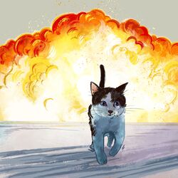  1:1 absurd_res ambiguous_gender black_body black_fur blue_eyes catwheezie cool_guys_don&#039;t_look_at_explosions domestic_cat explosion felid feline felis feral fire fur hi_res mammal multicolored_body multicolored_fur outside reaction_image real_world redraw solo two_tone_body two_tone_fur whiskers white_body white_fur 