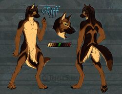  anthro barbell_piercing canid canine canis domestic_dog ear_piercing english_text featureless_crotch german_shepherd green_eyes helix_piercing herding_dog male mammal model_sheet pastoral_dog piercing riff_(riff34) solo text triple-shot 