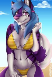  2015 amethyst_(mistystriker) anthro big_breasts bikini breasts canid canine canis cleavage clothed clothing domestic_dog female husky looking_at_viewer mammal midriff mistystriker navel nordic_sled_dog pink_eyes skimpy solo spitz stripes swimwear underwear 