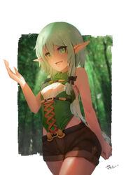  elf goblin_slayer high_elf_archer pointy_ears tagme 